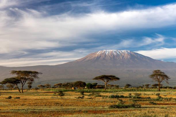 Kilimanjaro